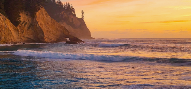 Do you understand the liability you have as the plan sponsor?